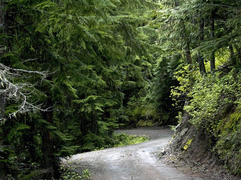 Best Tractor Implements to Control Roadside Vegetation