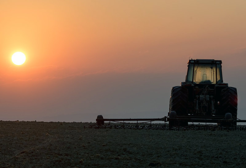 From Drought to Deluge: Farming in Dry vs Wet Weather