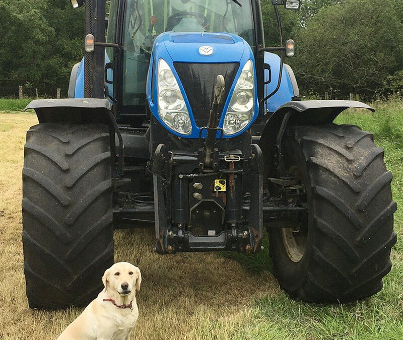 How You Can Find the Right New Holland Compact Tractor for You