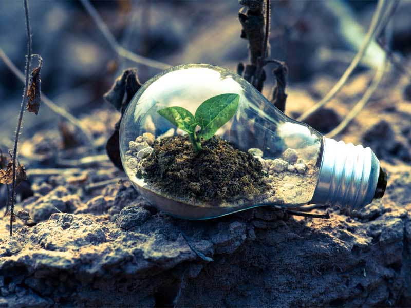 Soil Conservation Farming (Save Soil and Money)