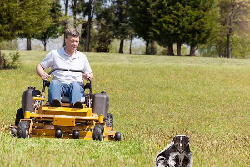 Common Problems with Zero Turn Mowers